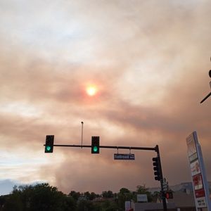 Meet your Posher, Sylvia